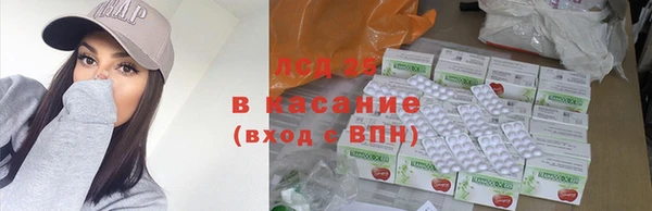 шишки Алзамай