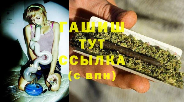 шишки Алзамай