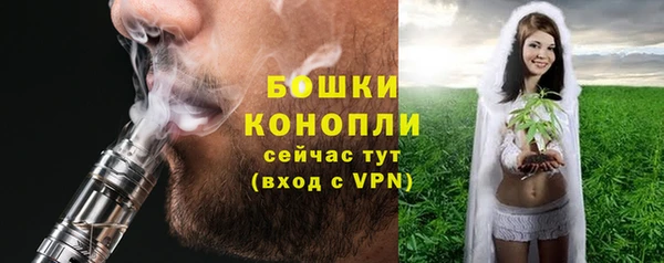 шишки Алзамай