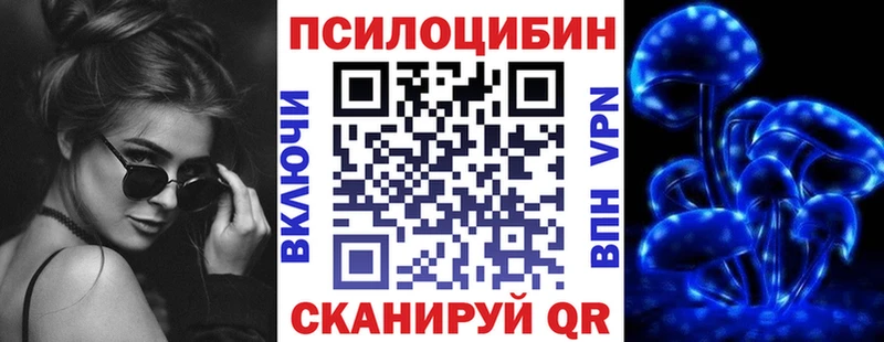 закладки  Динская  Псилоцибиновые грибы MAGIC MUSHROOMS 